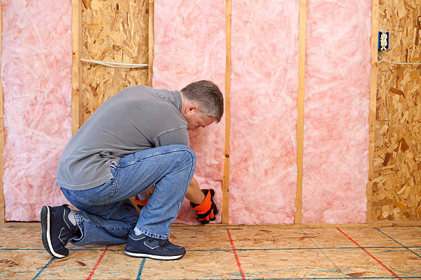 Best Geographic-Specific Insulation Services in Shoemakersville, PA
